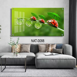 תמונת זכוכית לסלון - NAT-0088